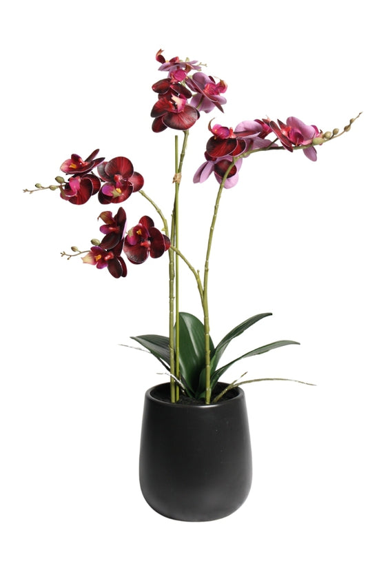 Faux Red Phalaenopsis Orchids w/Ceramic Pot 48cm