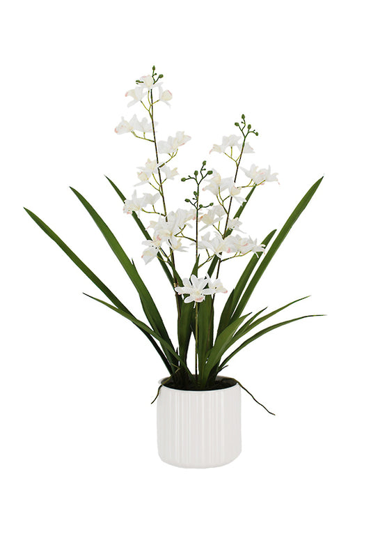 Faux Mini Cymbidium w/Ceramic Pot 66cm