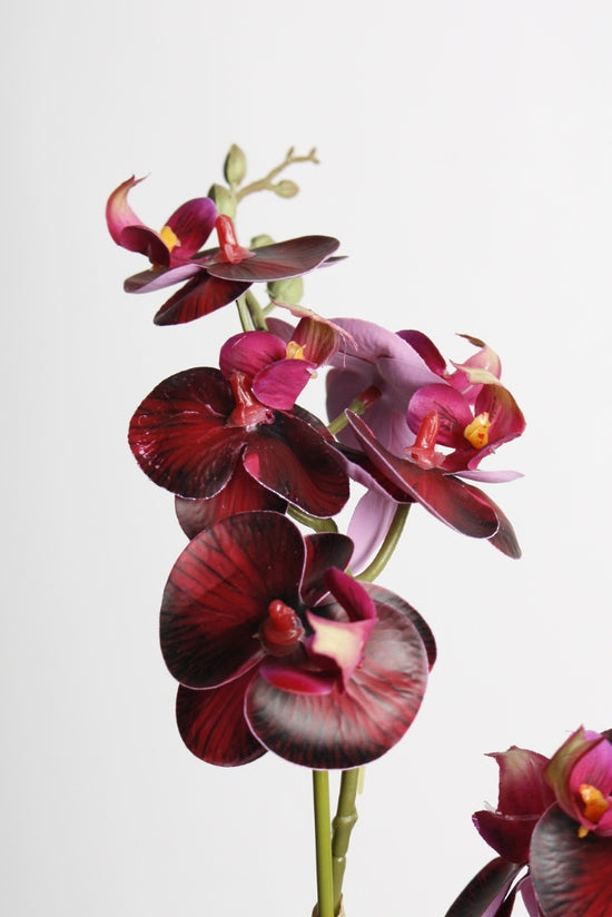 Faux Red Phalaenopsis Orchids w/Ceramic Pot 48cm