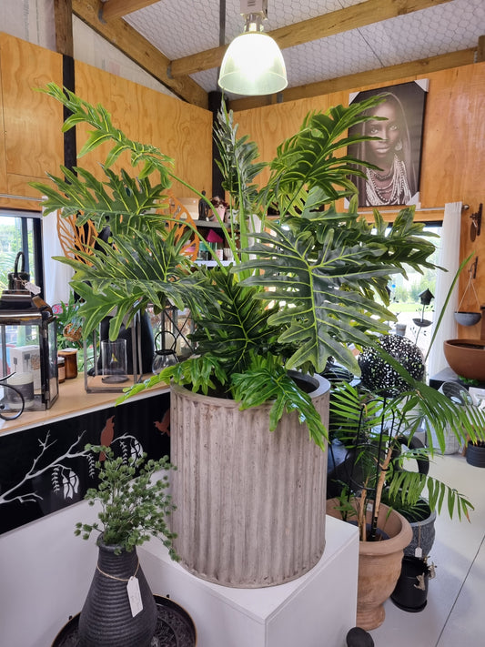 Faux Philodendron Hope 145cm