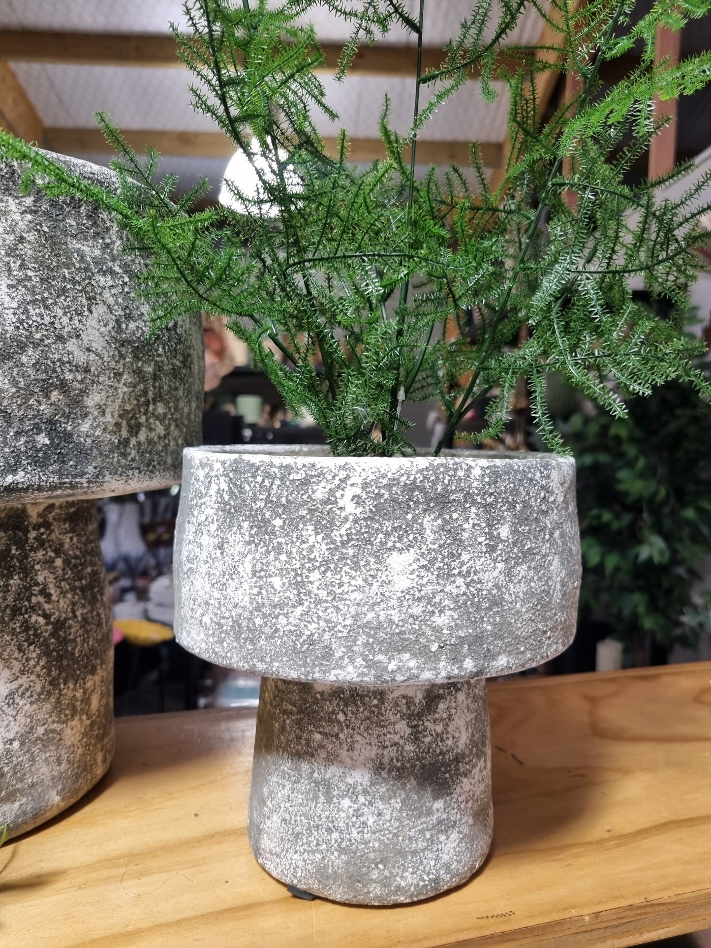 Mushroom Planters - Greywash