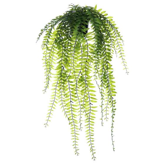 Faux Potted Sword Fern