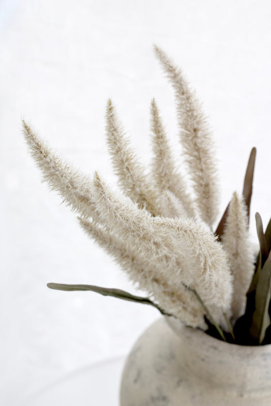 Fountain Grass Cream 94cm