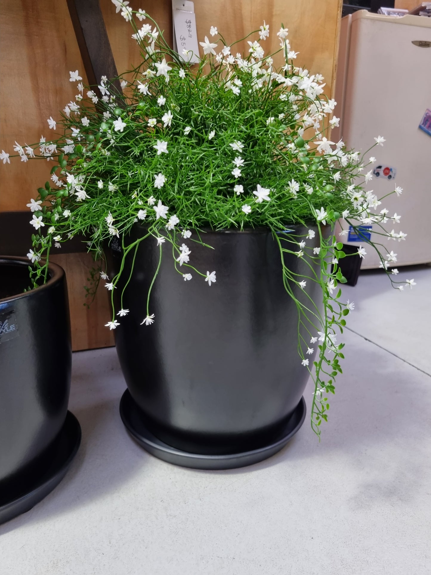 Straten Pots with Saucers - Black