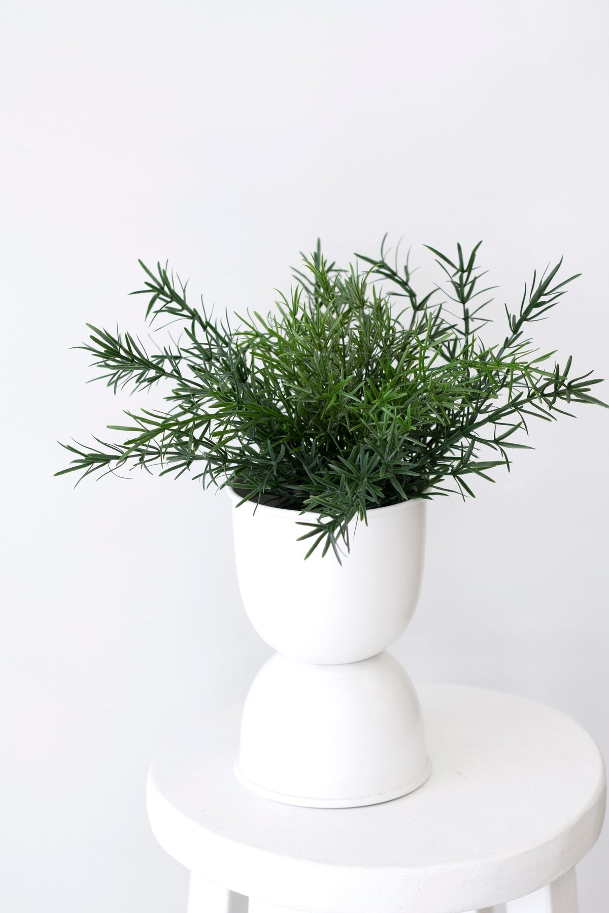Faux Fern Bush