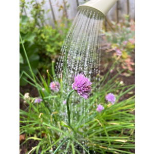 Outdoor Watering Can - Soft Grey