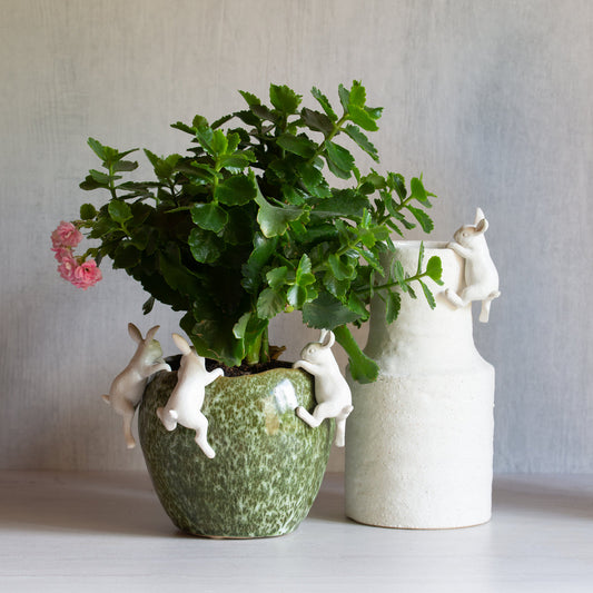 Gift boxed Set of 4 Bunnies - Pot Decor White