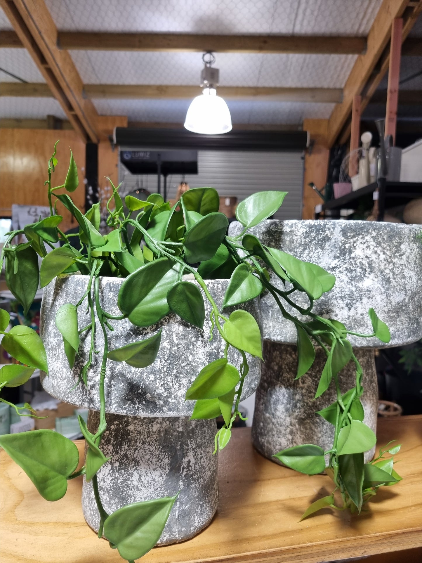 Mushroom Planters - Greywash