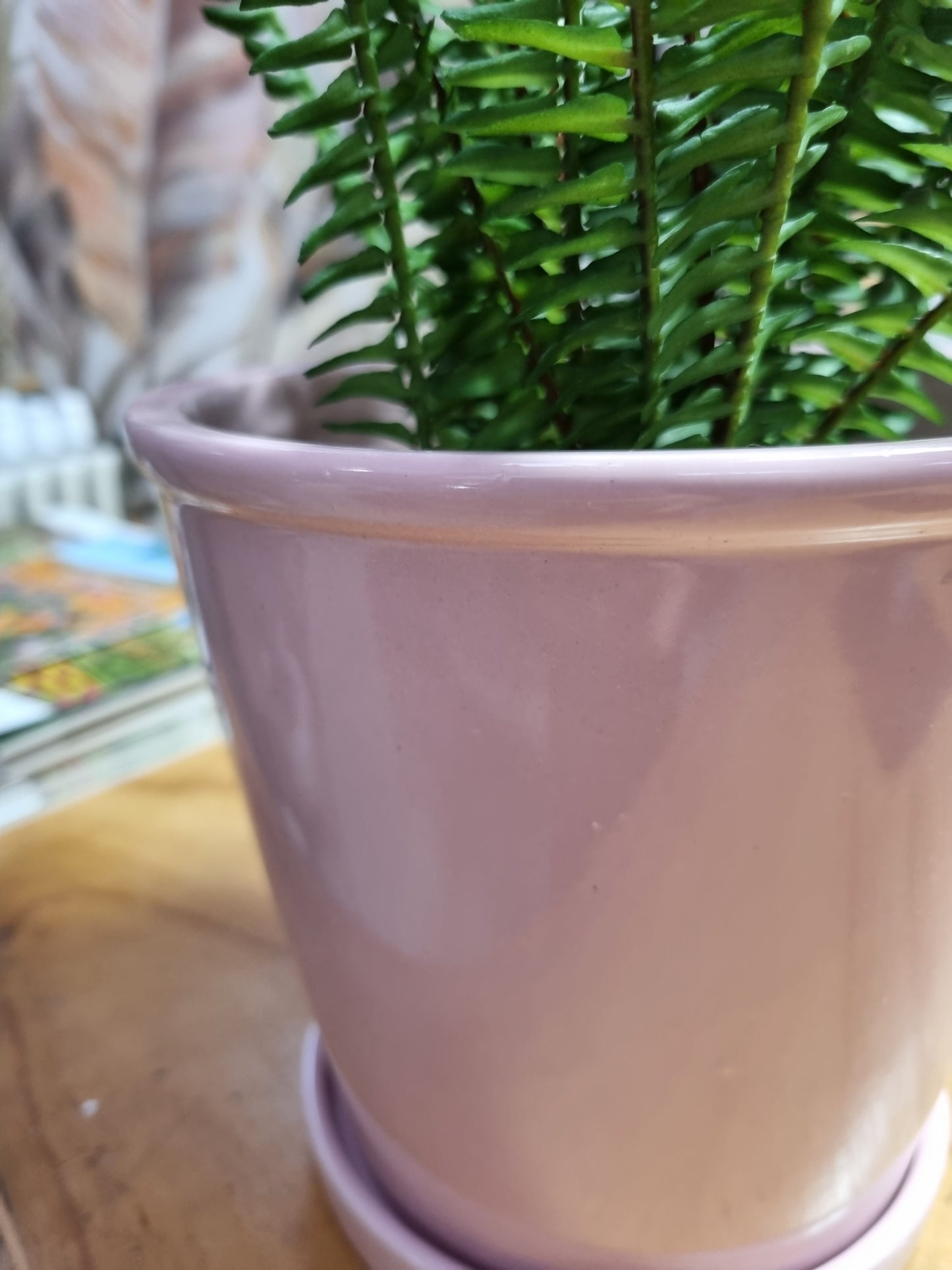 Kaba Pot and Saucer - Blush Pink