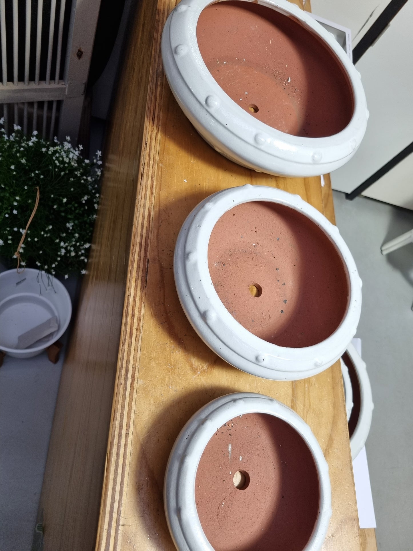 White Studded Bonsai Pots