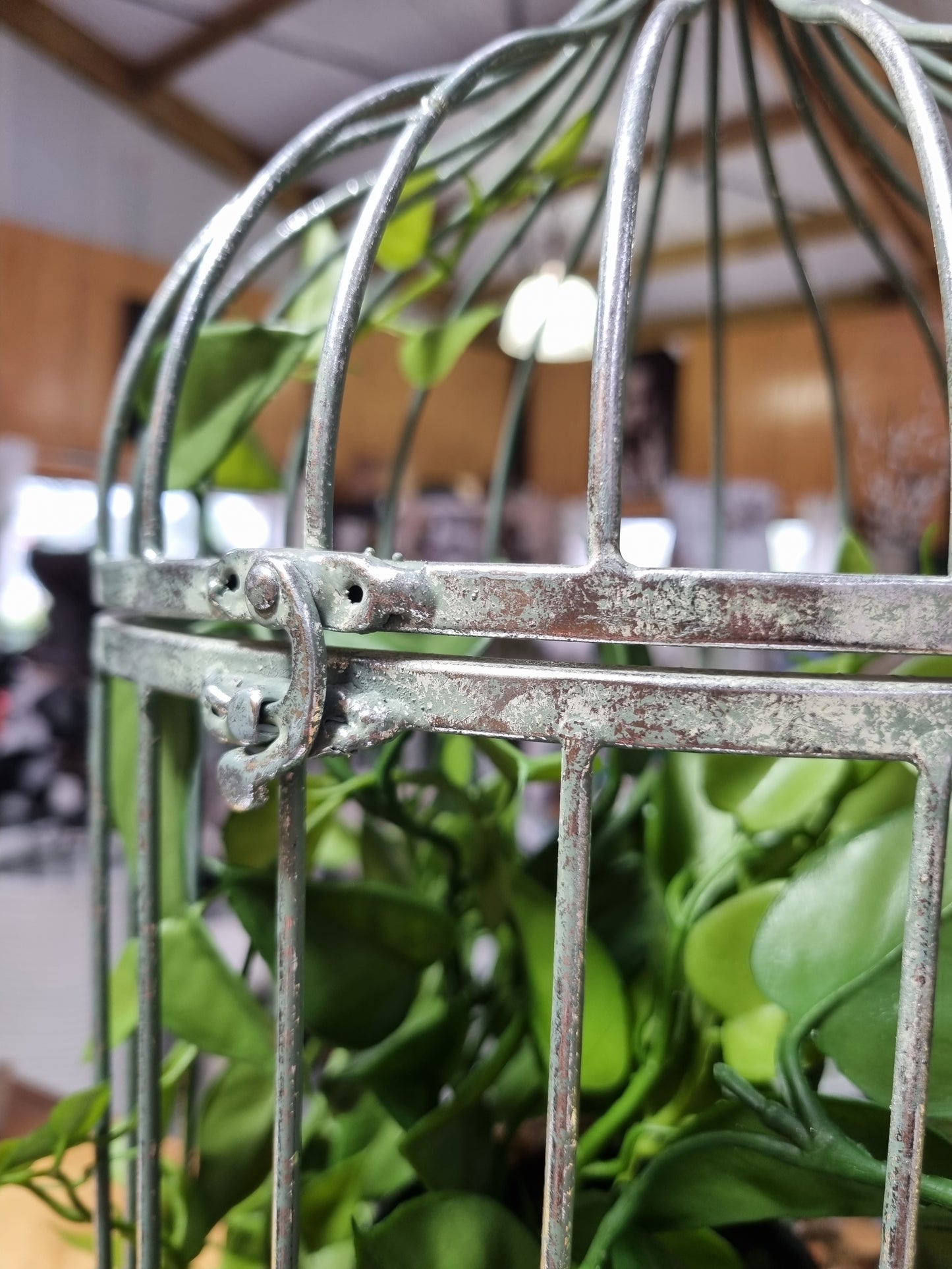 Metal Hanging Bird Cage