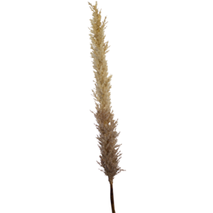 Faux Dried-Look Astilbe Spray 99cm