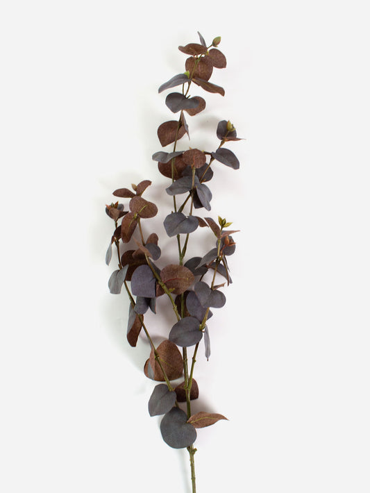Eucalyptus Spray - Mauve & Brown