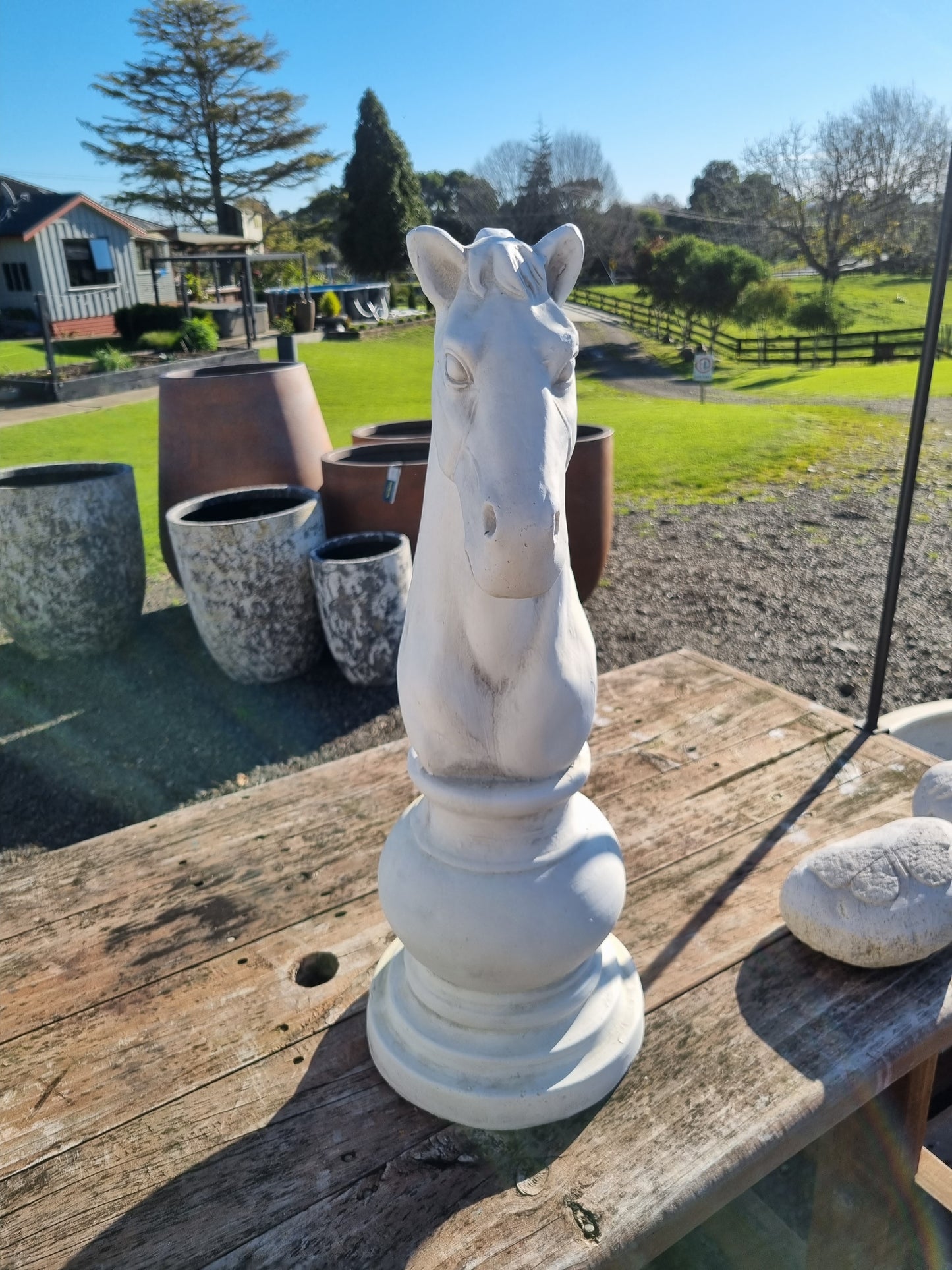 Knight Chess Piece - Outdoor