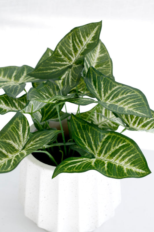 Faux Syngonium Plant in Black Pot – 30cm Potted Faux Plant