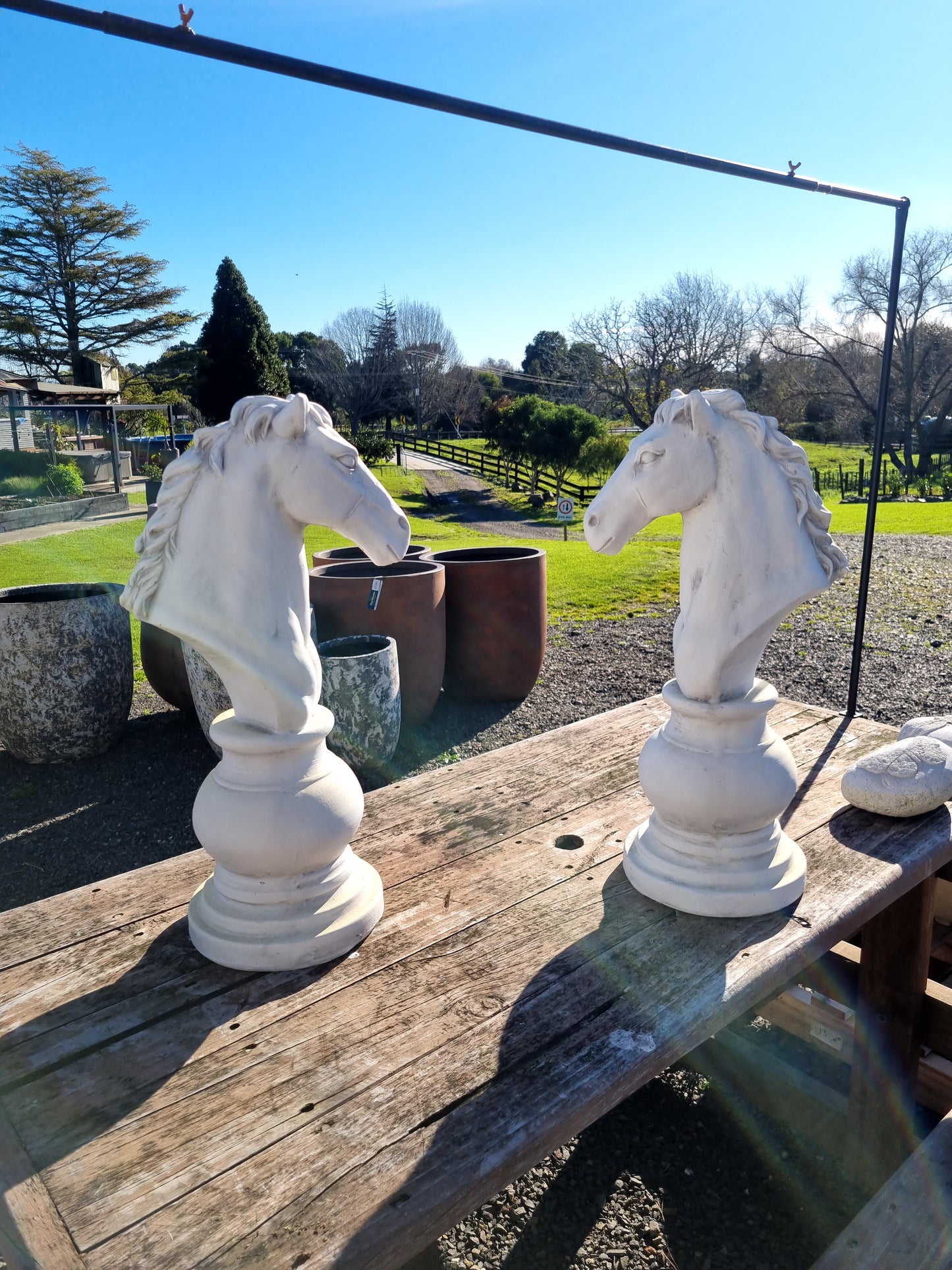 Knight Chess Piece - Outdoor