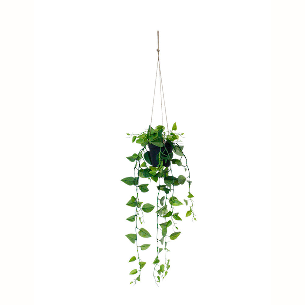 Faux Hanging Jade Stain Scindapsus