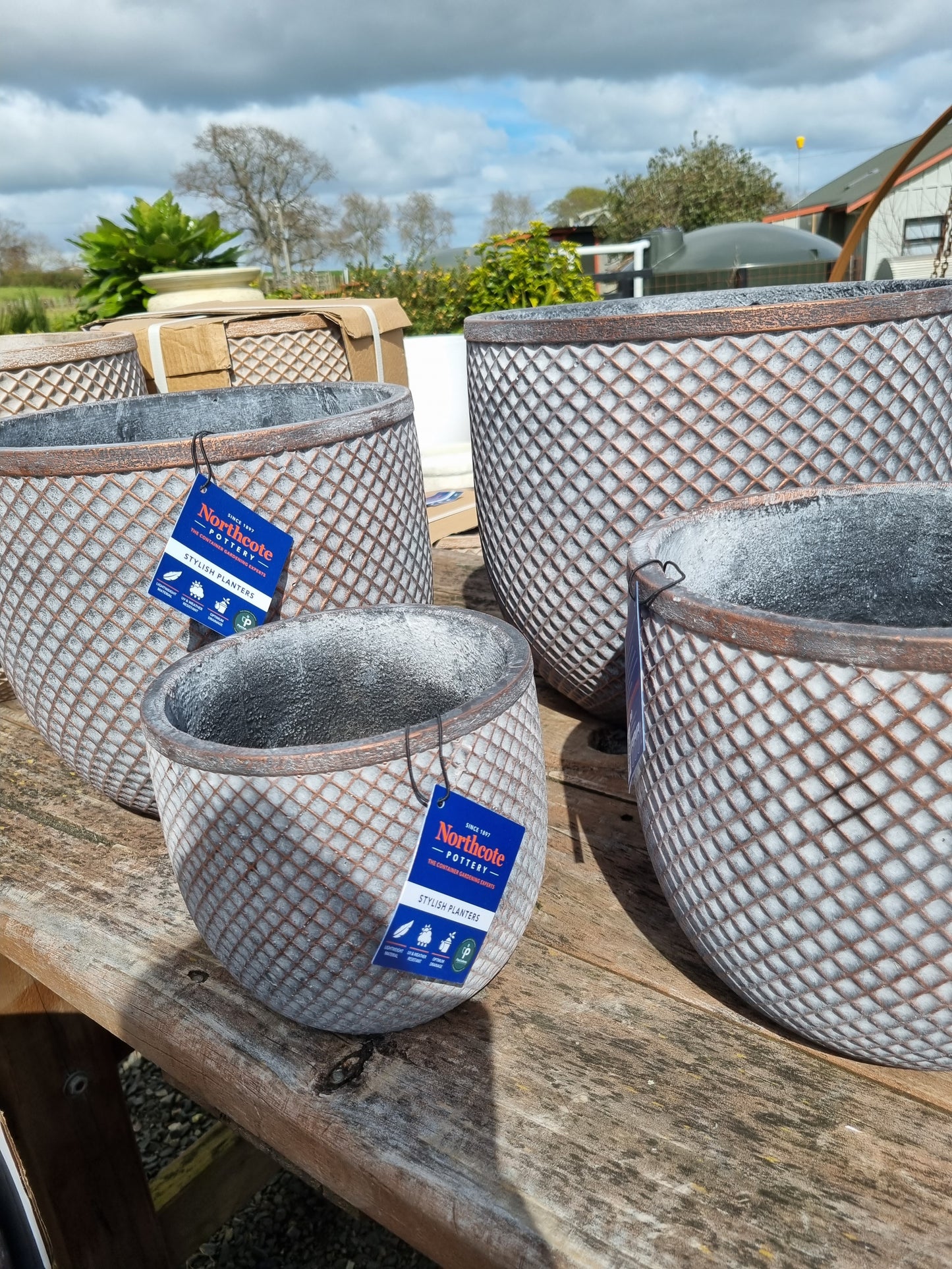 DEAL: Axia set of 4 Pots - Grey