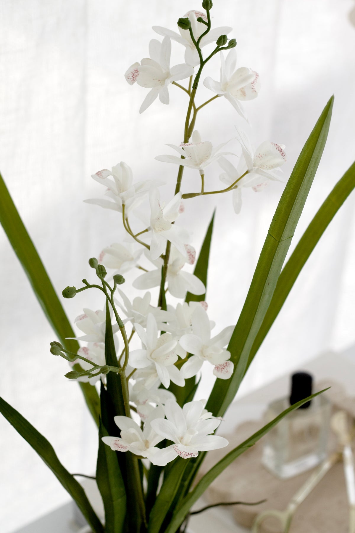 Faux Mini Cymbidium w/Ceramic Pot 55cm