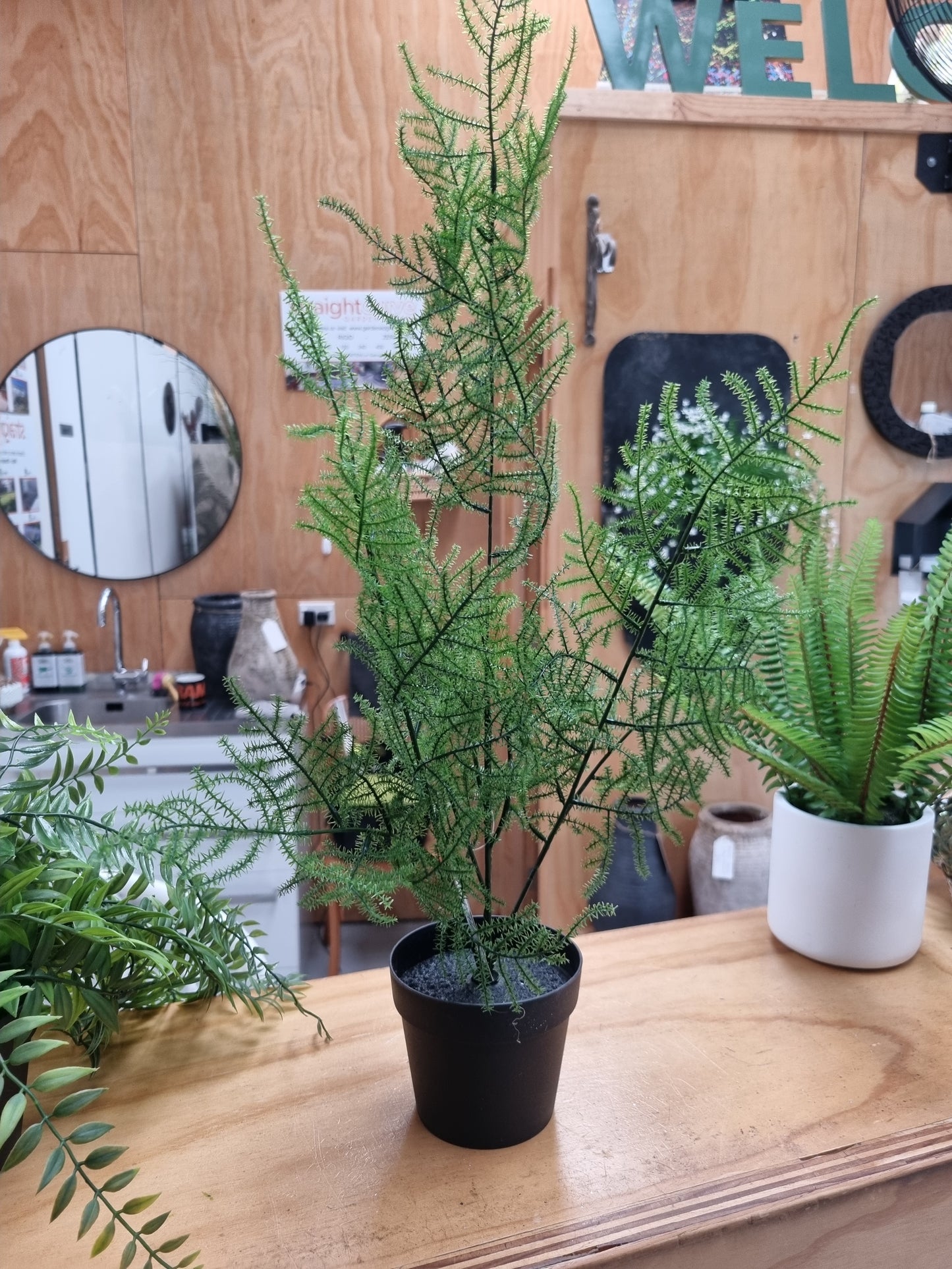 Faux Asparagus Fern