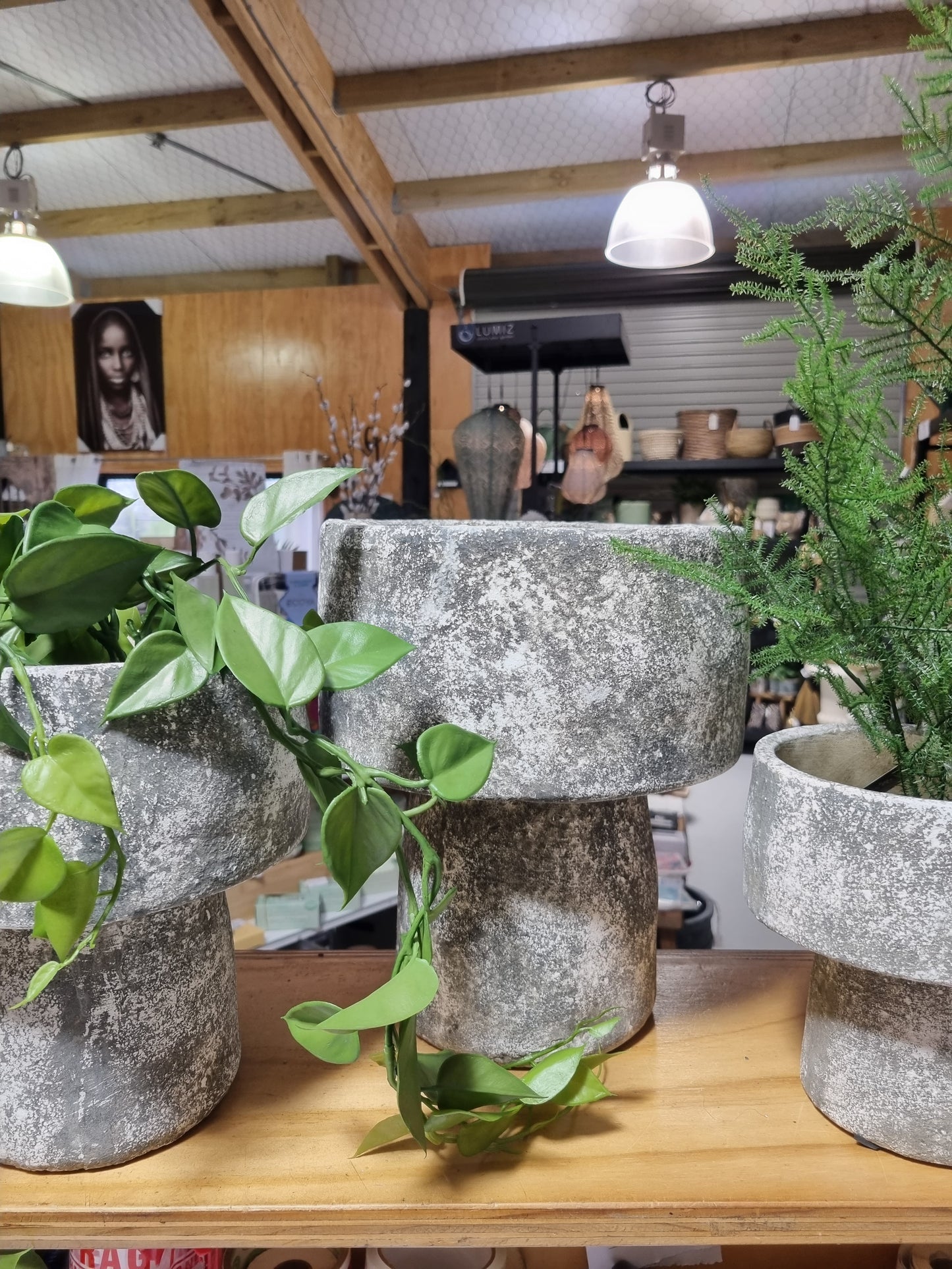 Mushroom Planters - Greywash