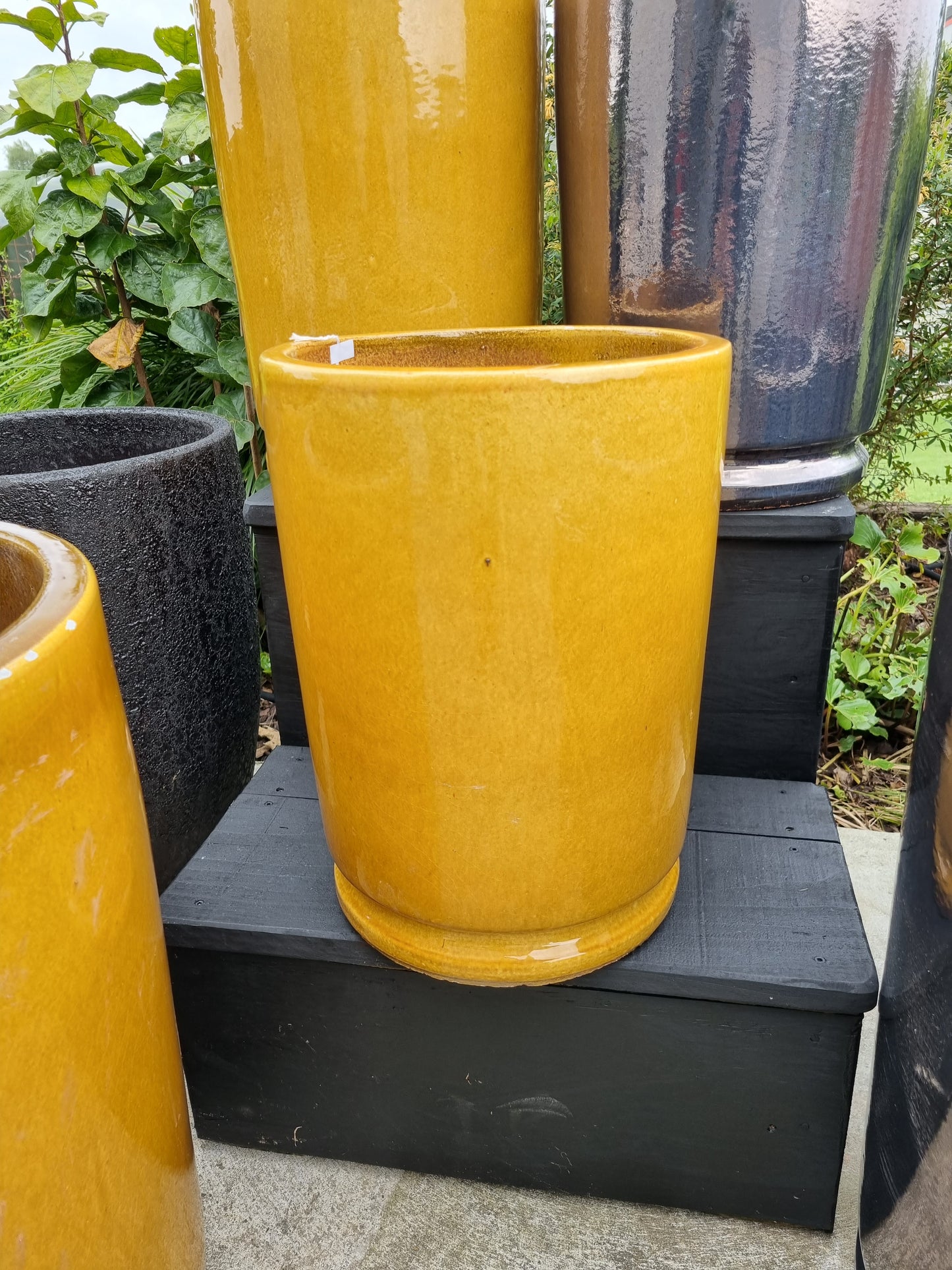 Lustre Tall - Mustard