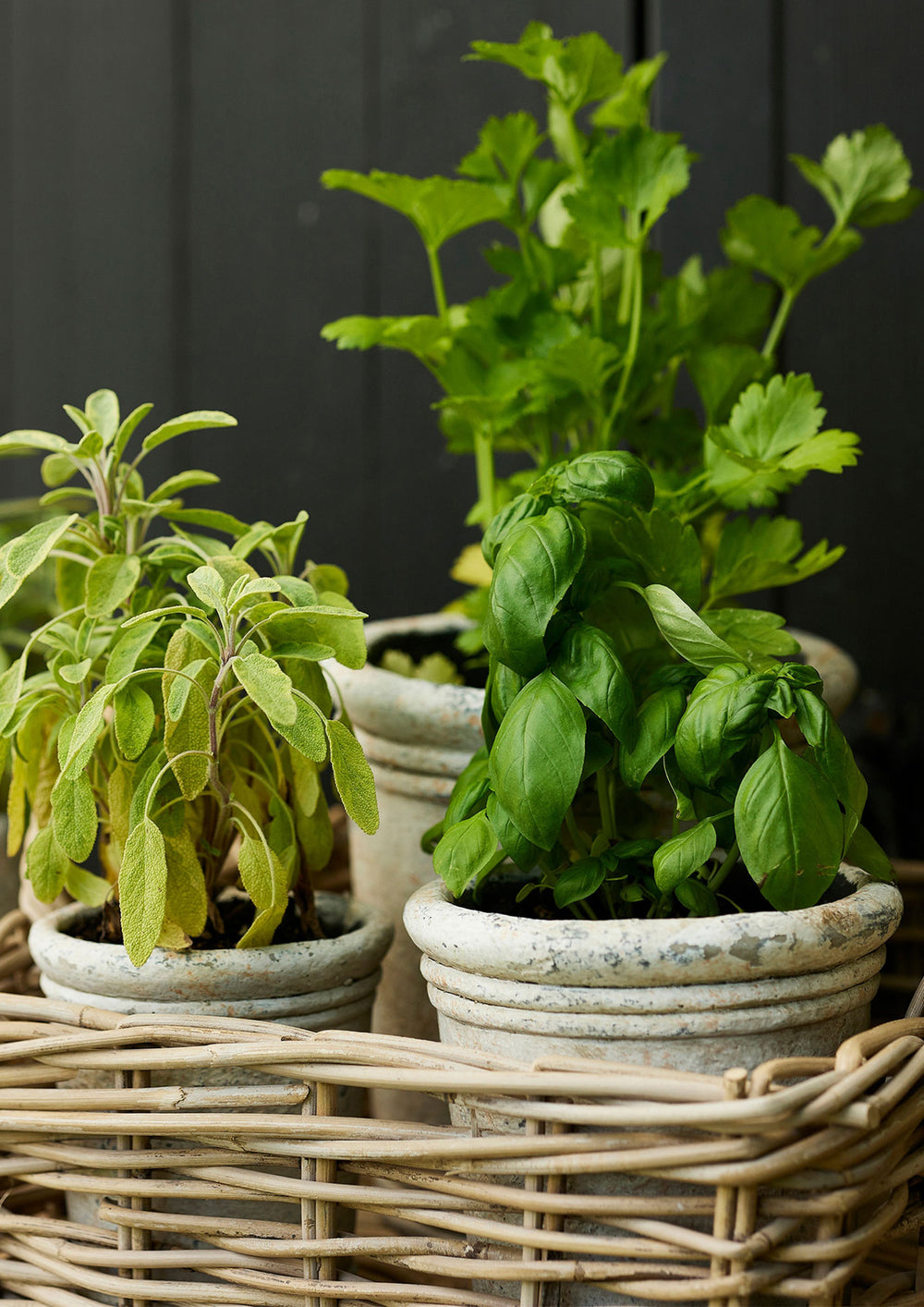 Gris Planter - Large