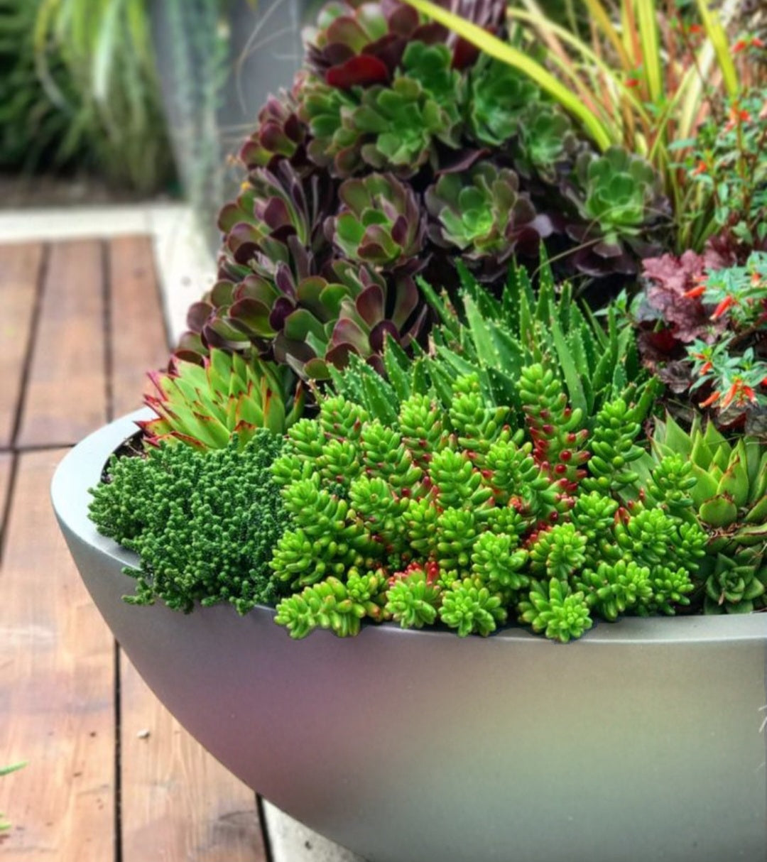 Adva Planter Bowl - Charcoal