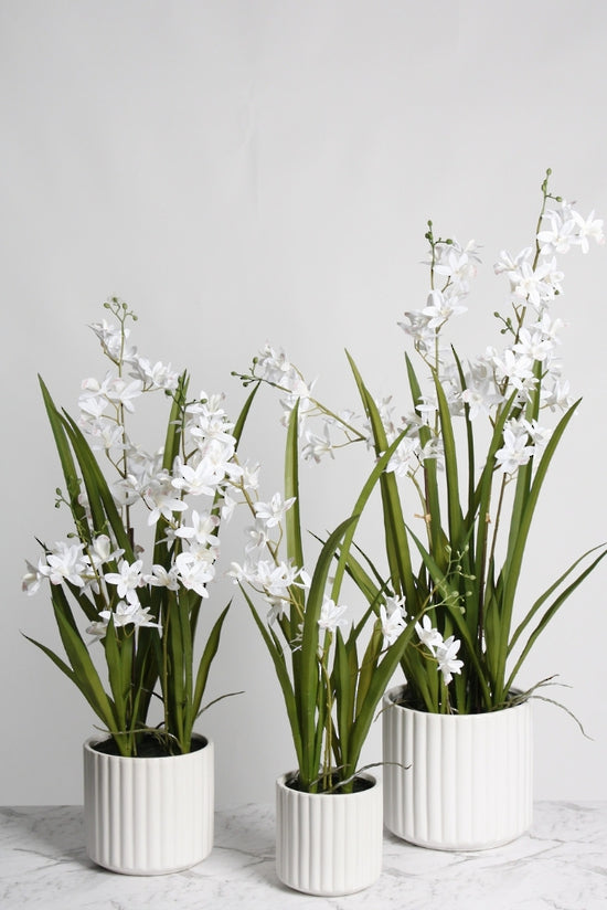 Faux Mini Cymbidium w/Ceramic Pot 66cm