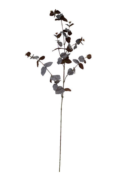Eucalyptus Spray - Mauve & Brown