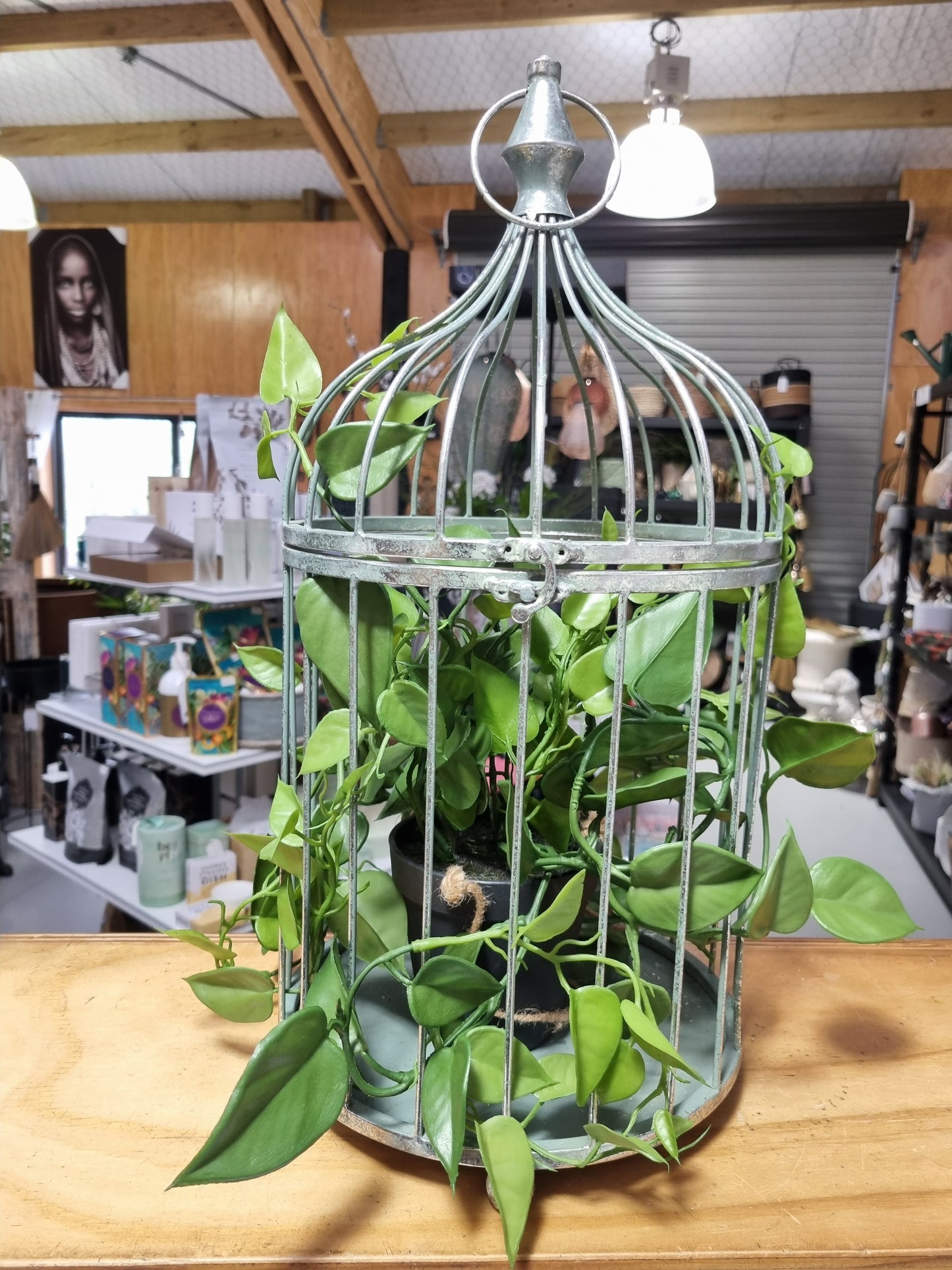 Metal Hanging Bird Cage