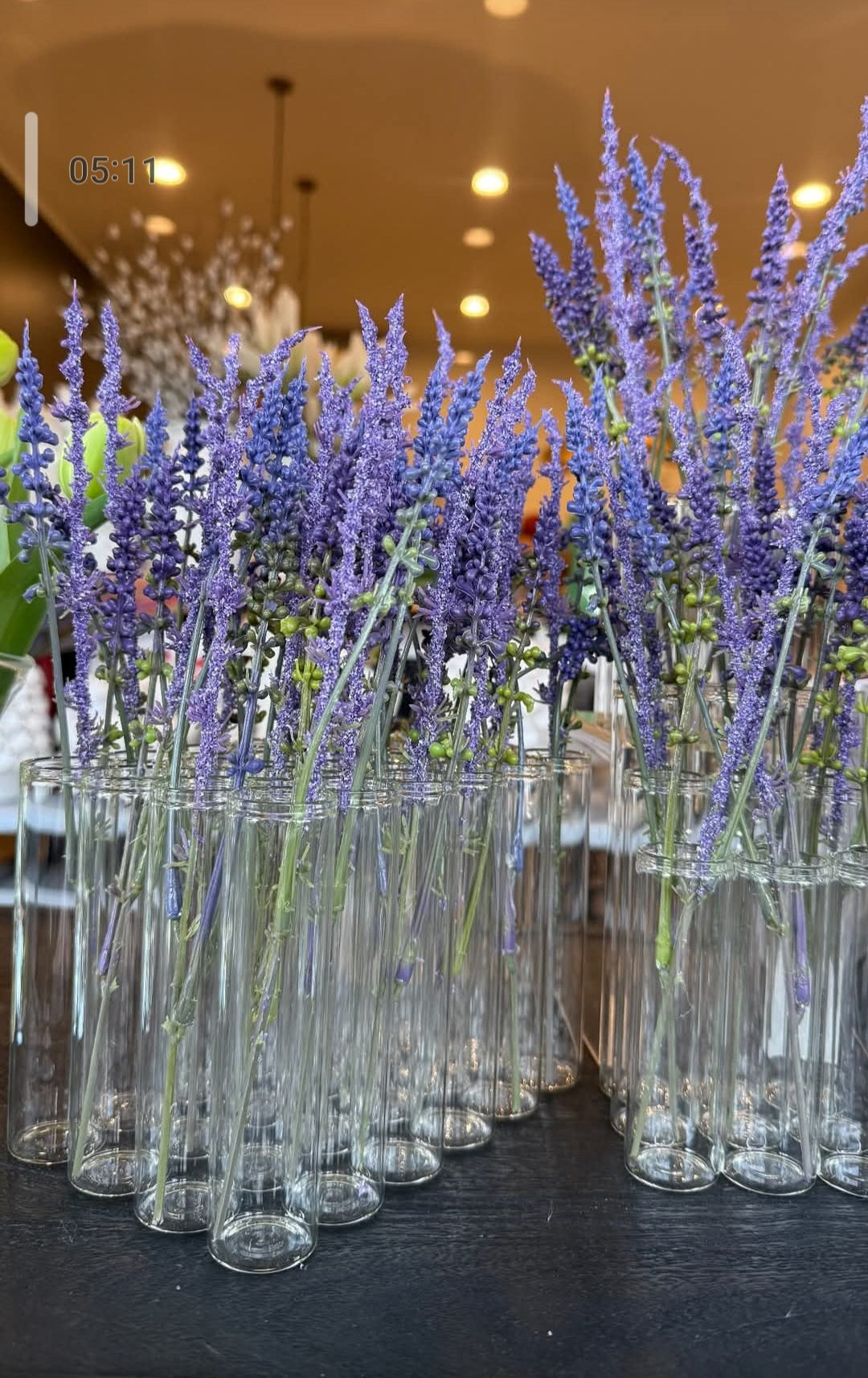 Test Tube Vase Display