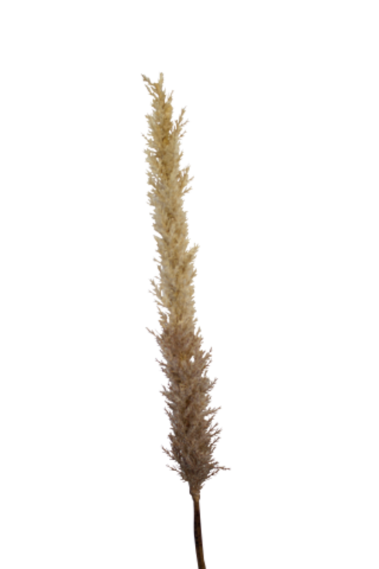 Faux Dried-Look Astilbe Spray 99cm