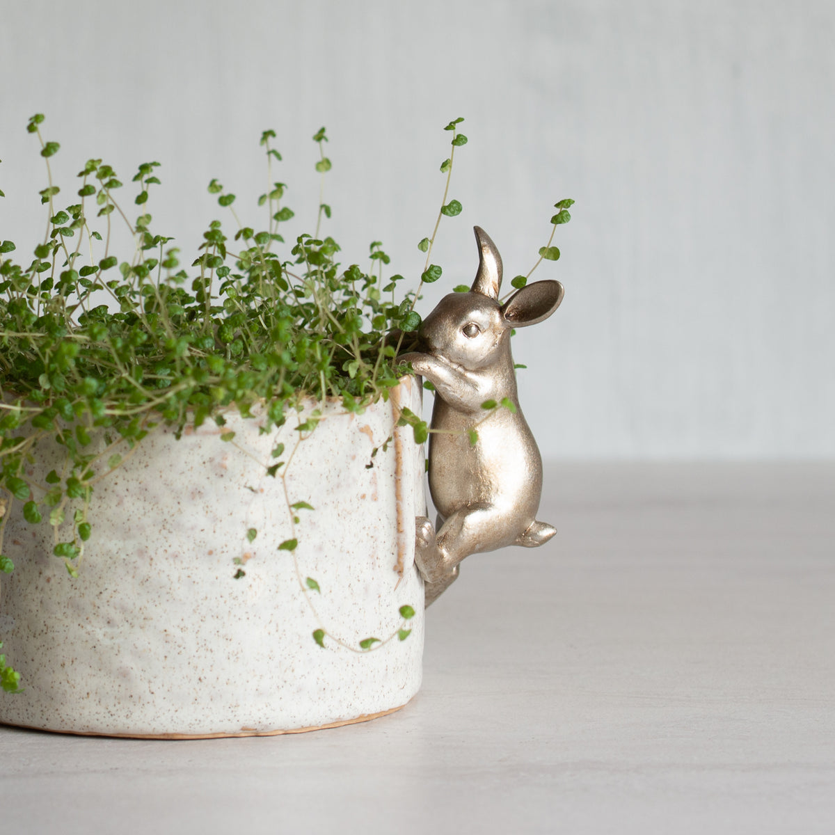 Rabbit Pot Ornament - Nickle