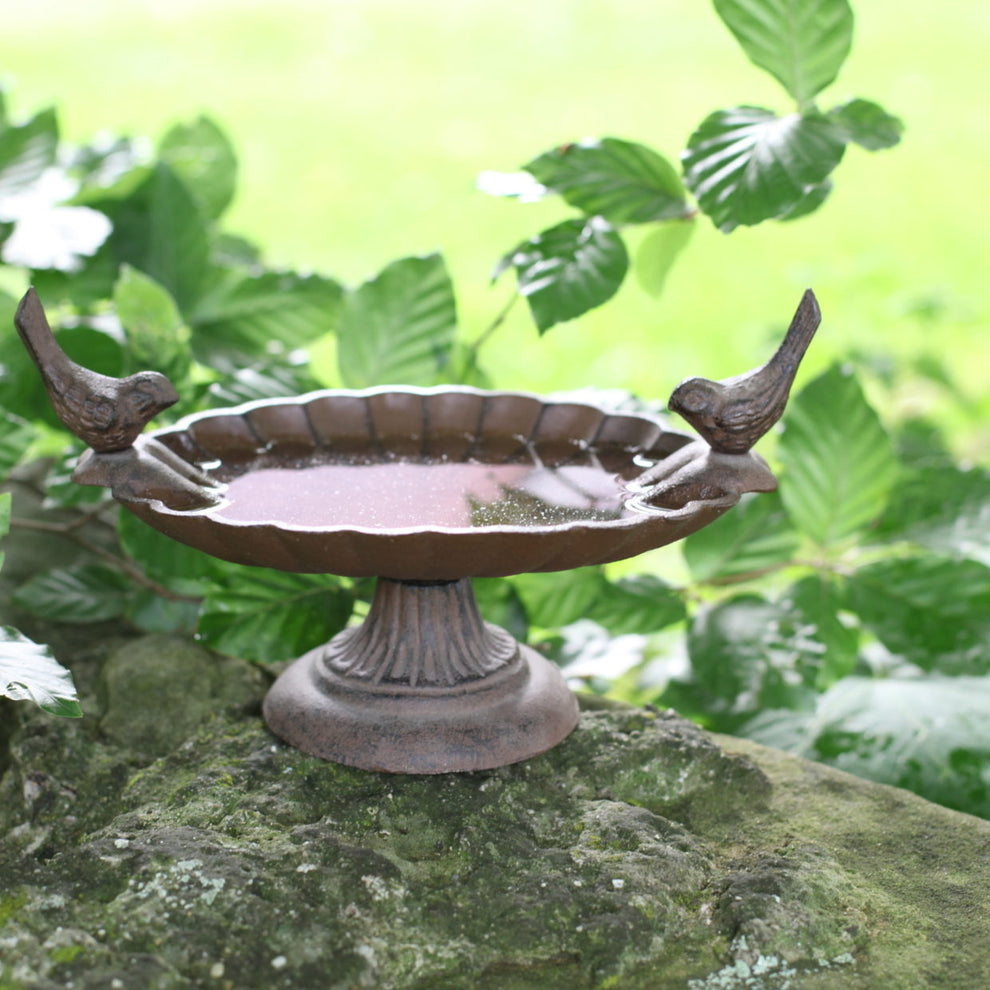 Cast Iron Footed Bird Bath or Feeder