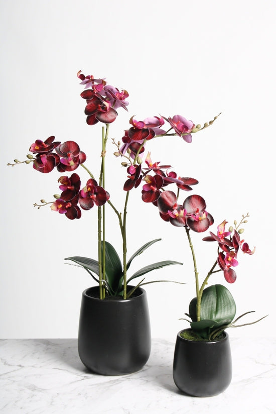 Faux Red Phalaenopsis Orchids w/Ceramic Pot 48cm