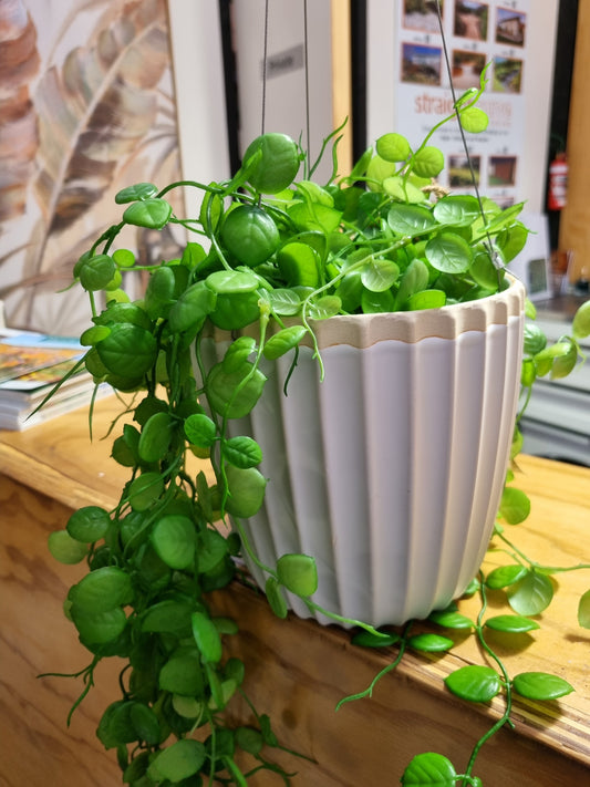 Ridge Hanging Planter - White