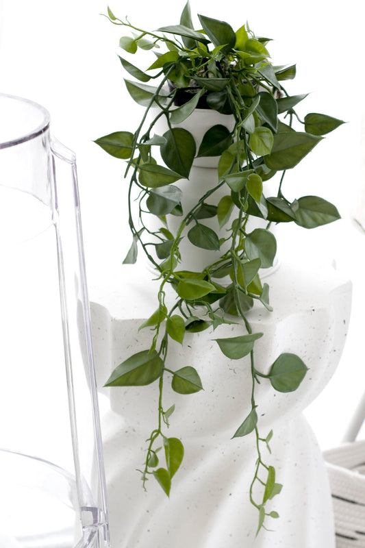 Faux Hanging Jade Stain Scindapsus