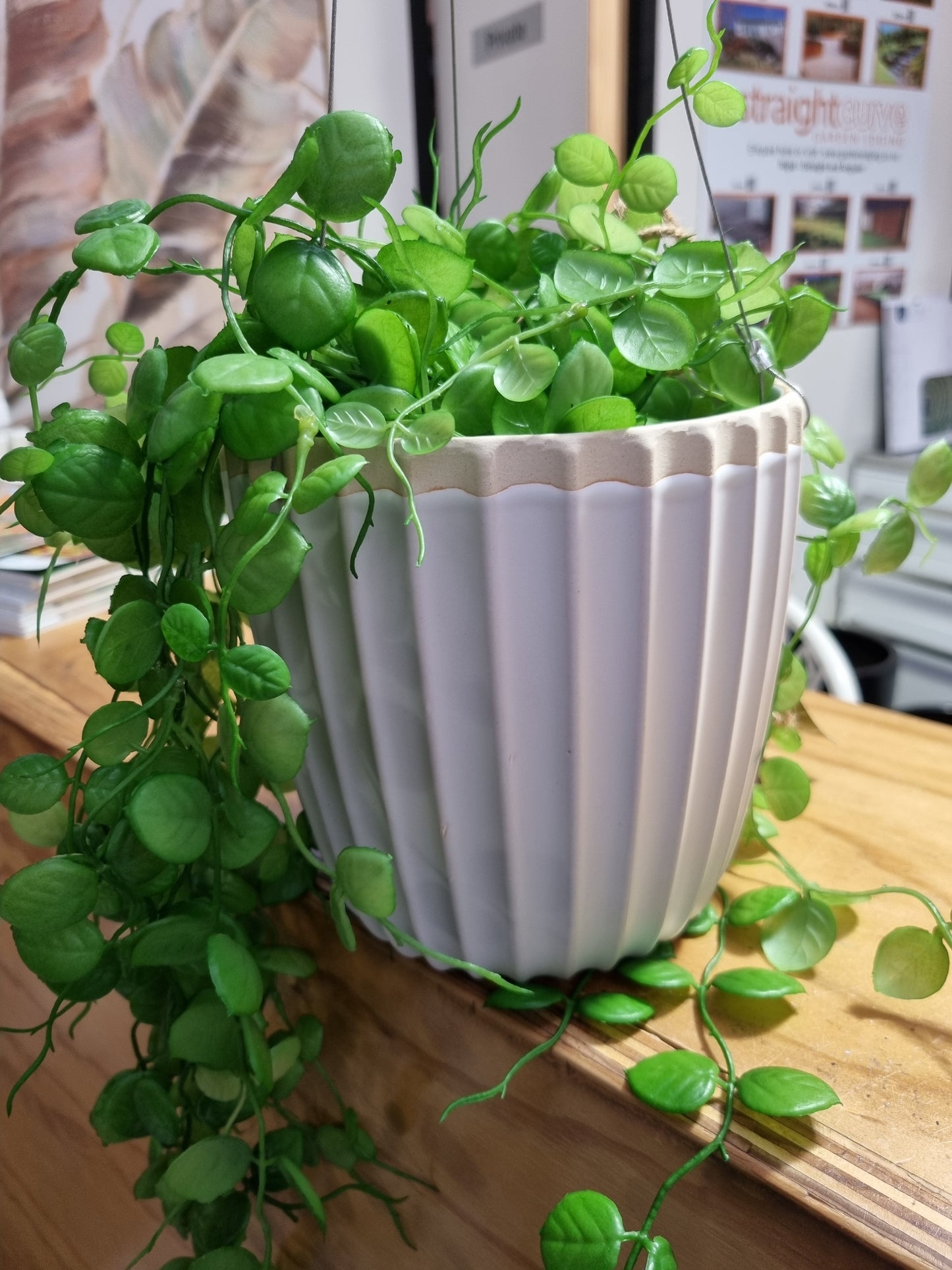 Ridge Hanging Planter - White