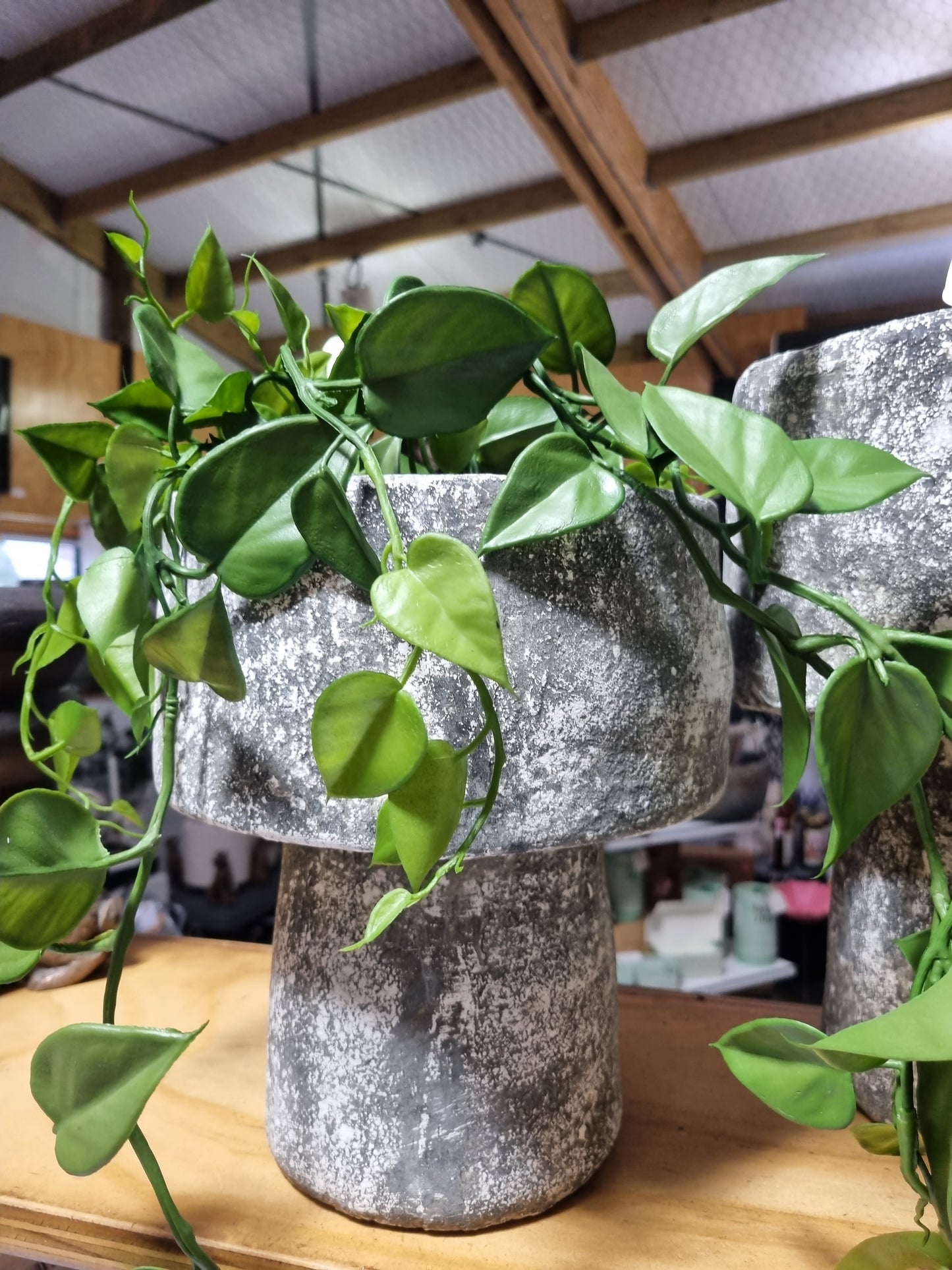 Mushroom Planters - Greywash