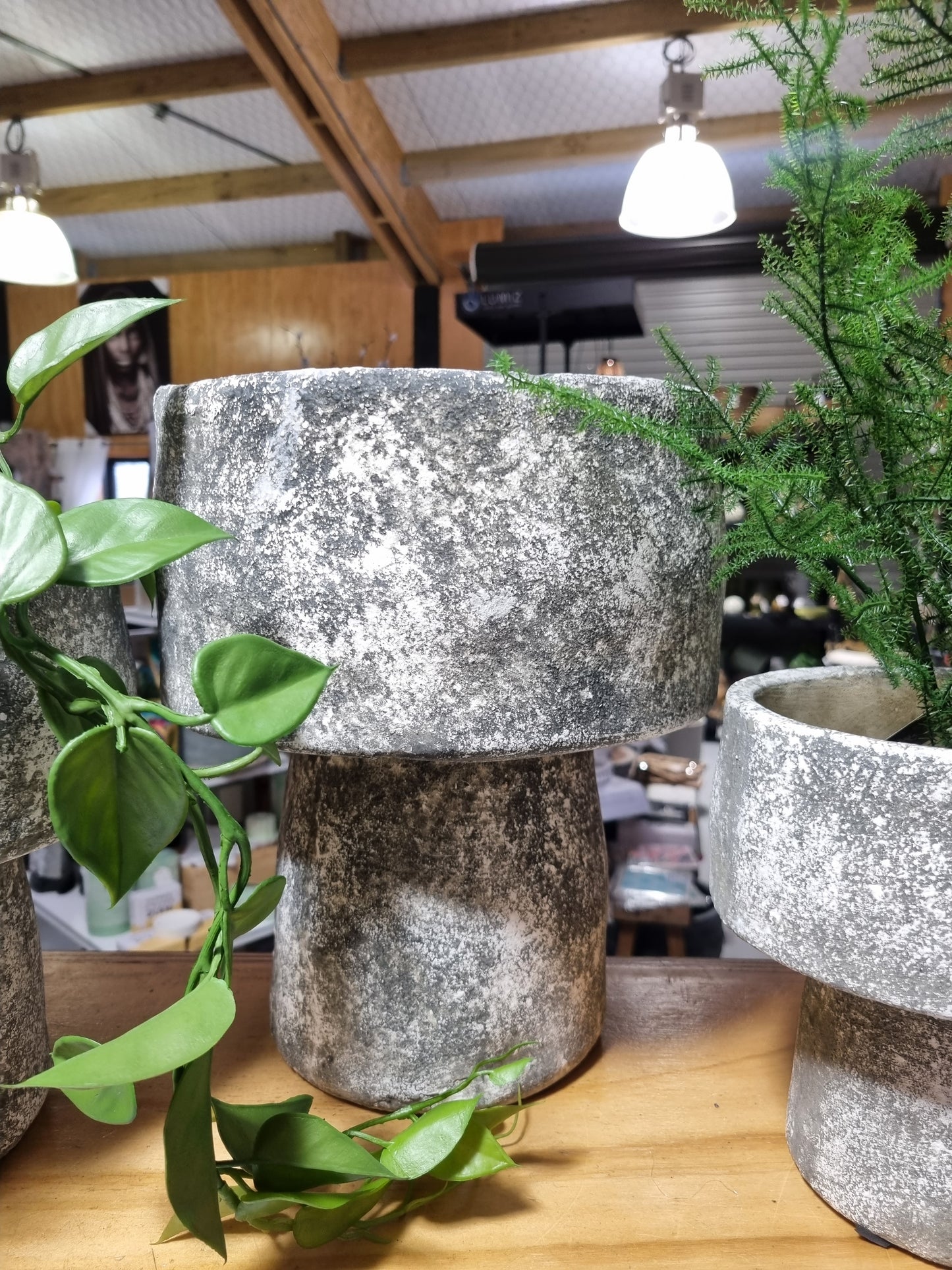 Mushroom Planters - Greywash