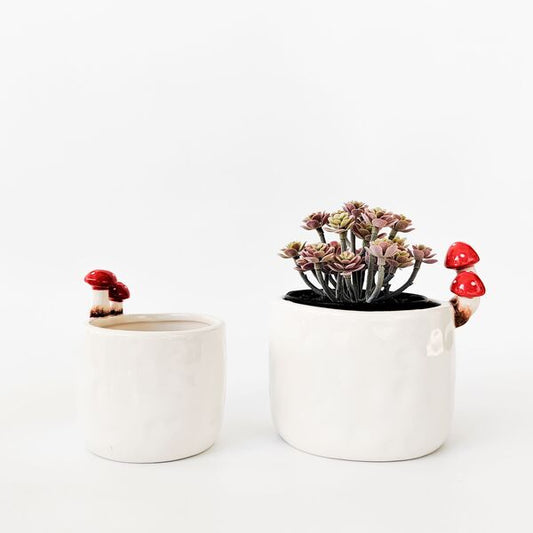 Toadstool Planter