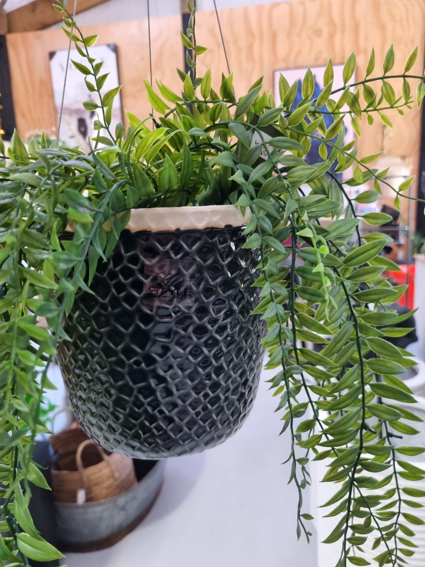 Thimble Hanging Pot
