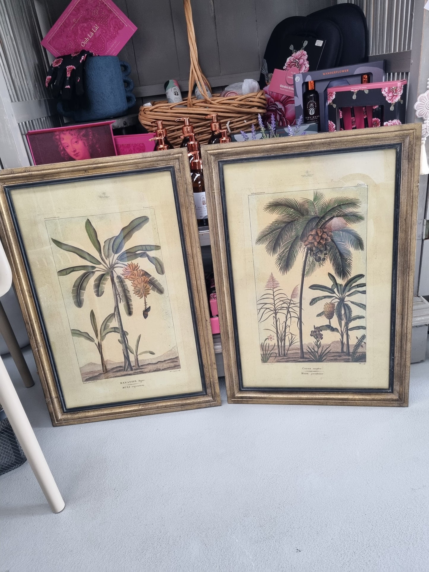 Framed Botanical Palm Art - Species B