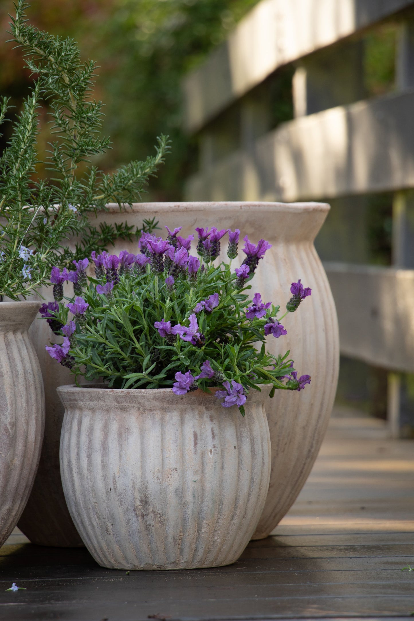Palermo Threads Belly Pots