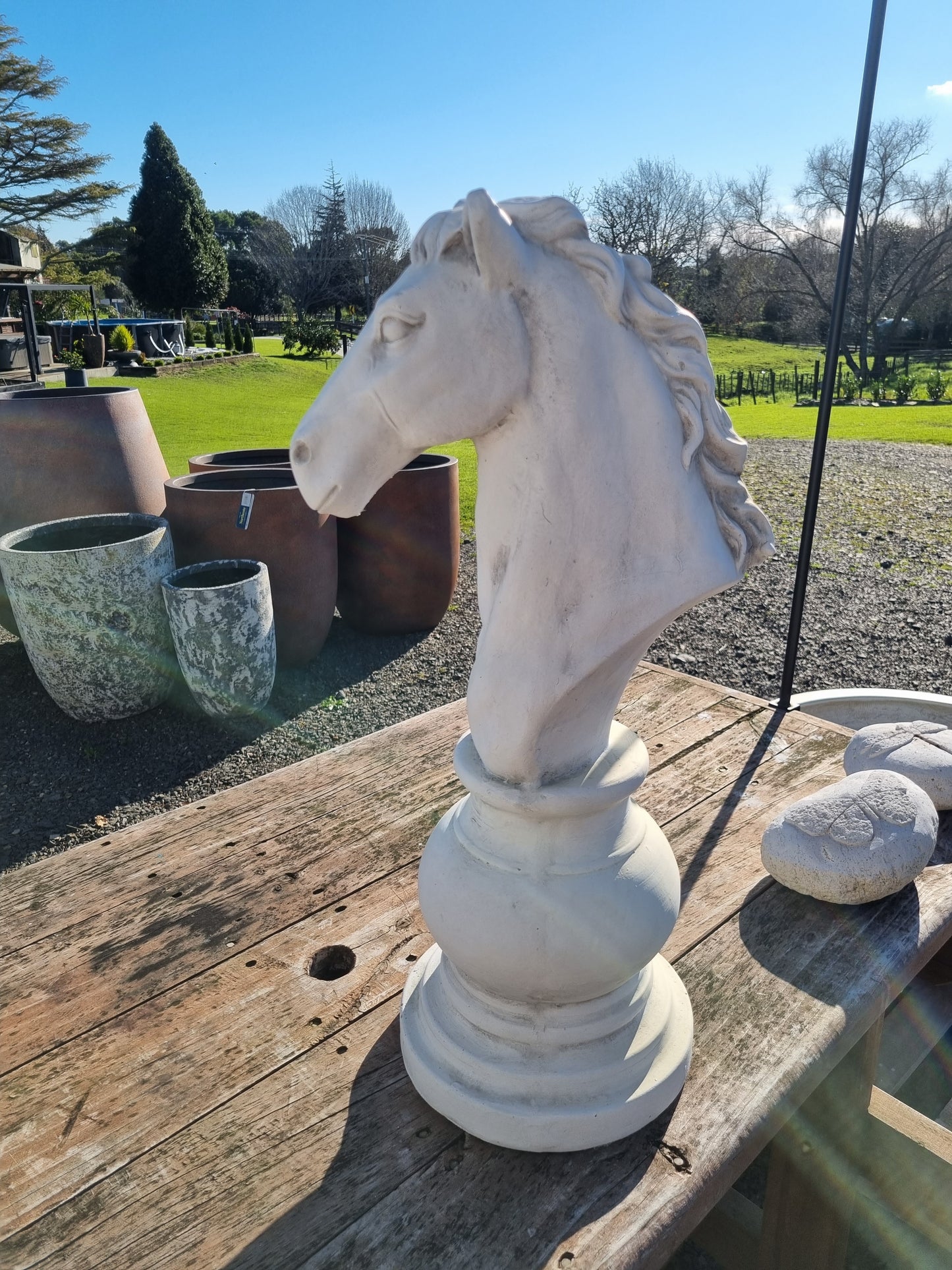 Knight Chess Piece - Outdoor