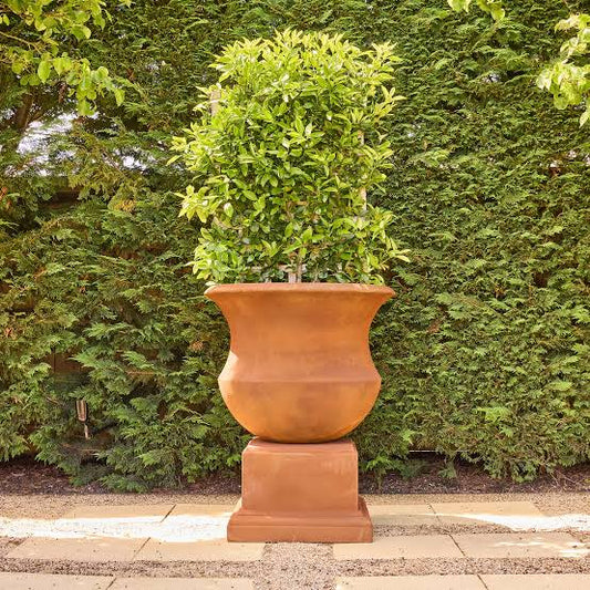 Naples Urn and Pedestal