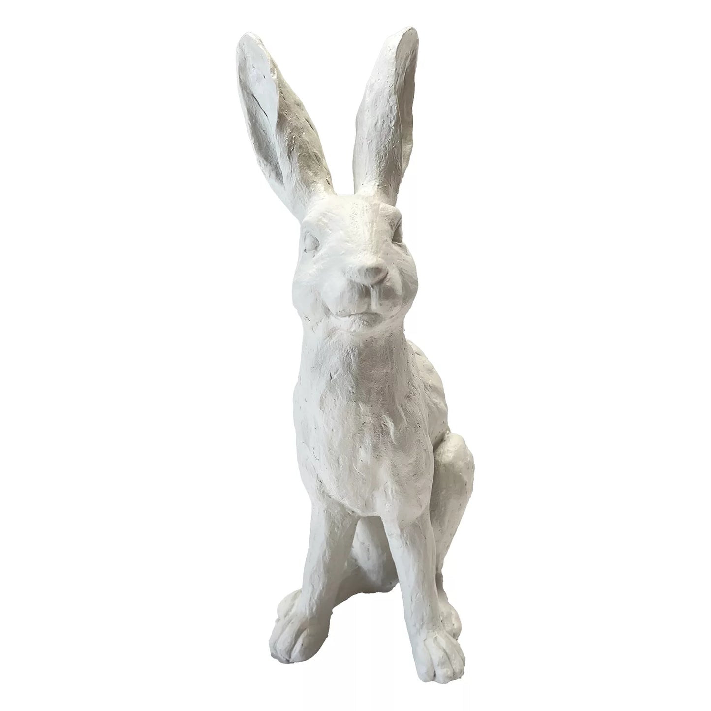 French White Rabbit