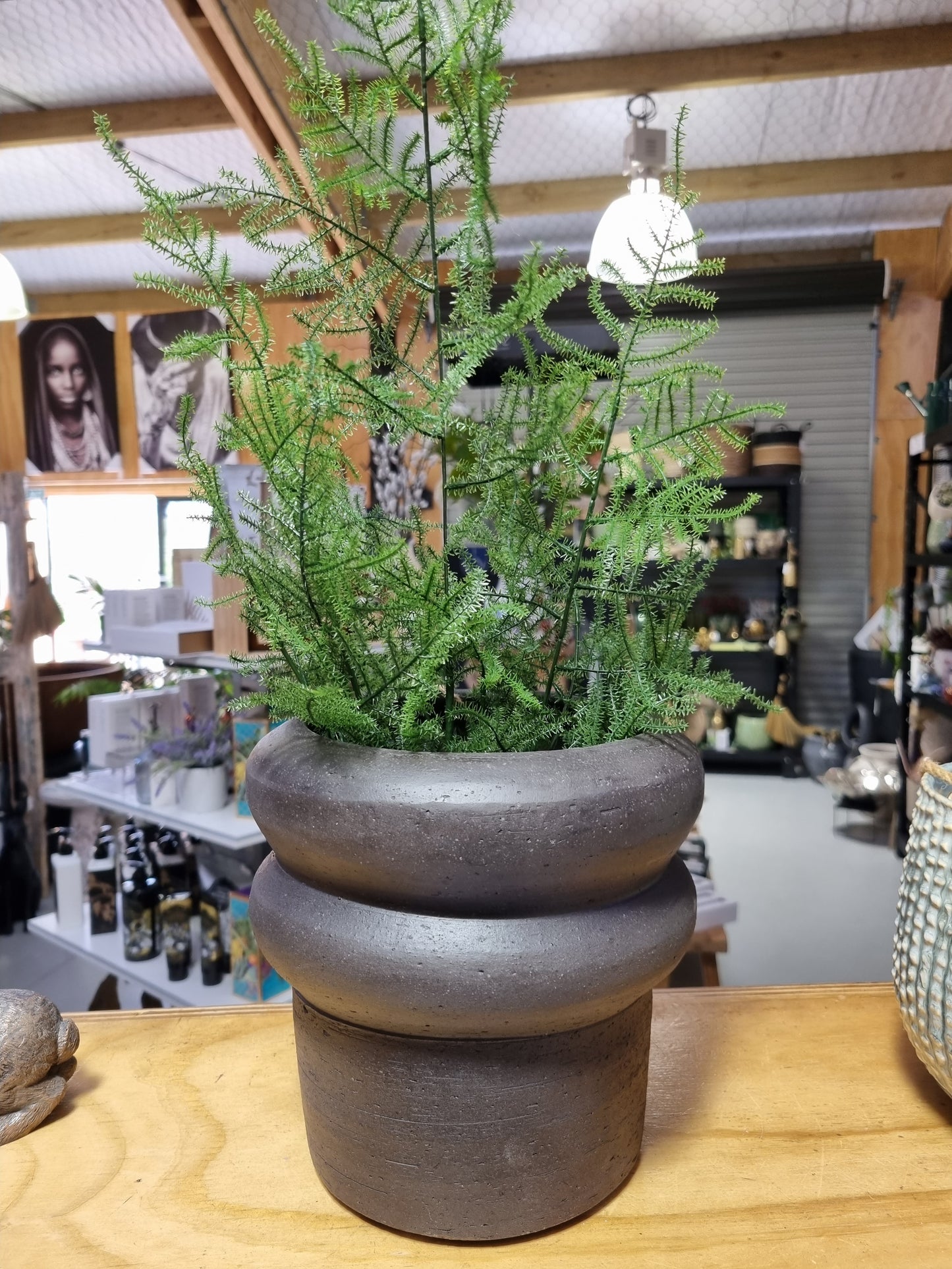 Halo Planter