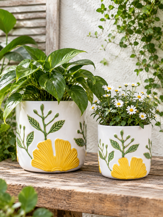 Sunny Pots